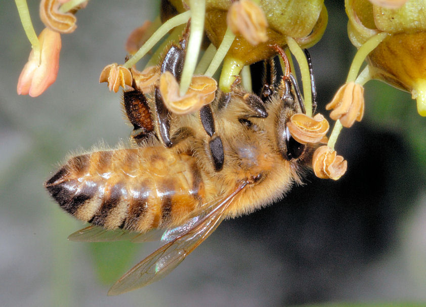 Queste vi consiglio proprio di guardarle!